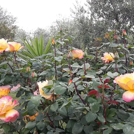 Alpehytte Casa Gaia Relax