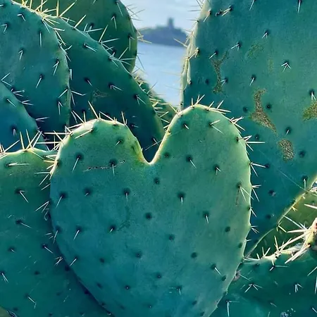 Horská chata Casa Gaia Relax *